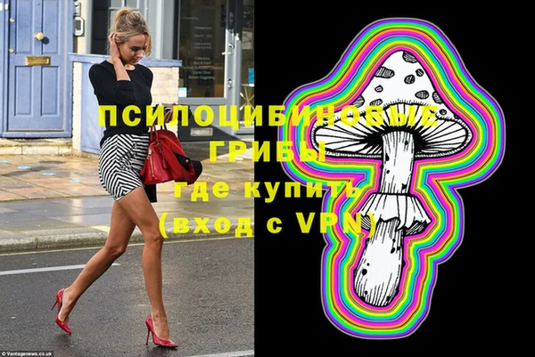 мяу мяу мука Надым