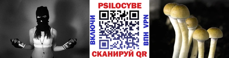 Галлюциногенные грибы Psilocybe  Купить где  Воронеж 